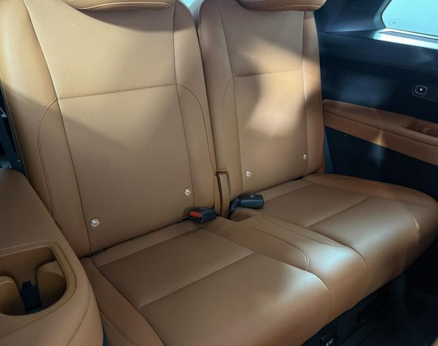 LiXiang (Li Auto) L9  