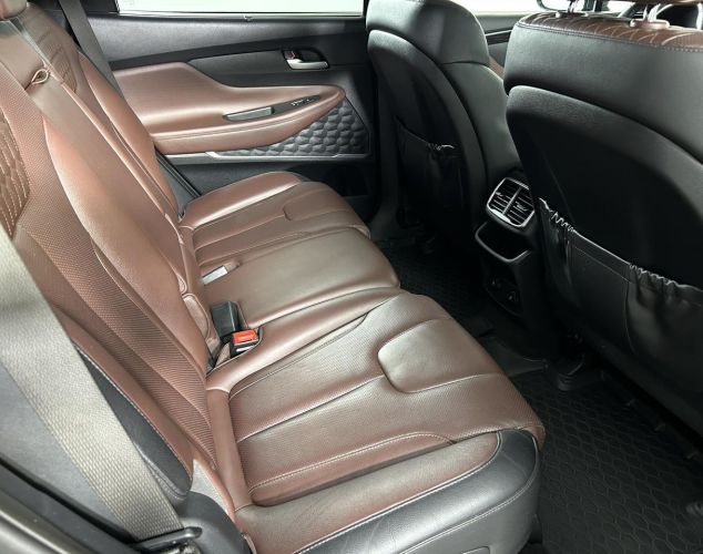 Hyundai Santa Fe  Black&Brown