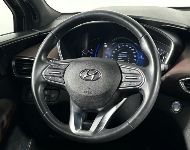 Hyundai Santa Fe  Black&Brown
