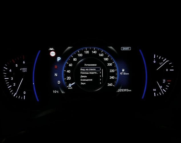 Hyundai Santa Fe  Black&Brown