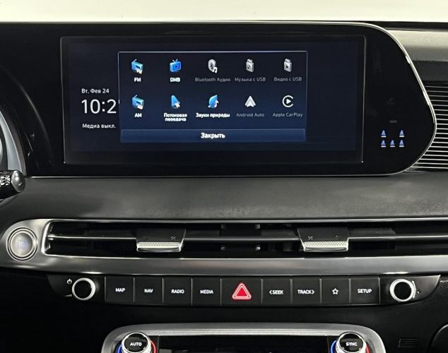 Hyundai Palisade  Calligraphy