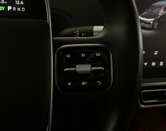 LiXiang (Li Auto) L9  