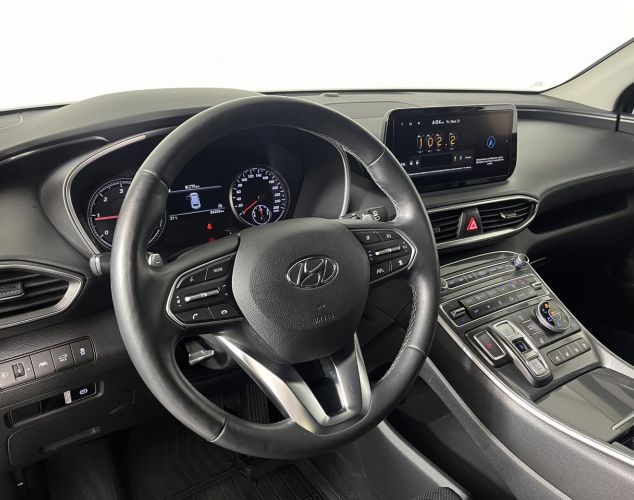 Hyundai Santa Fe  Family