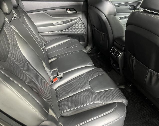 Hyundai Santa Fe  Family